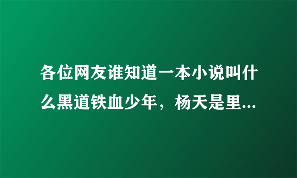 各位网友谁知道一本小说叫什么黑道铁血少年，杨天是里面的主角？