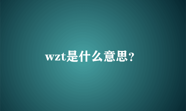 wzt是什么意思？