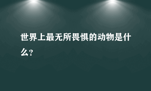 世界上最无所畏惧的动物是什么？