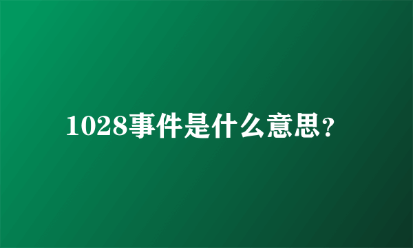 1028事件是什么意思？