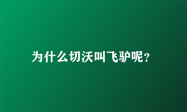 为什么切沃叫飞驴呢？