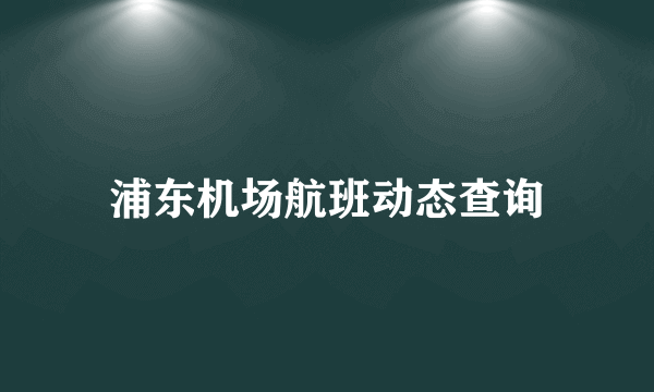 浦东机场航班动态查询