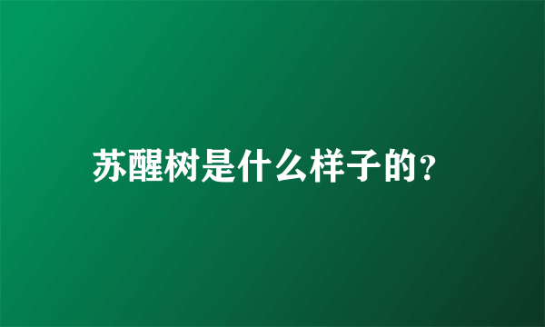 苏醒树是什么样子的？