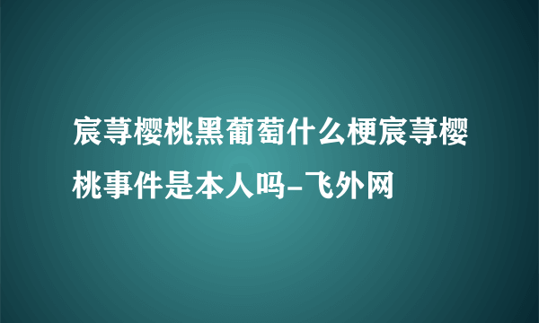 宸荨樱桃黑葡萄什么梗宸荨樱桃事件是本人吗-飞外网