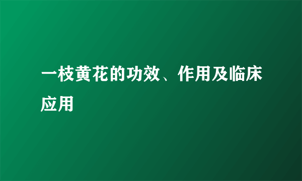 一枝黄花的功效、作用及临床应用