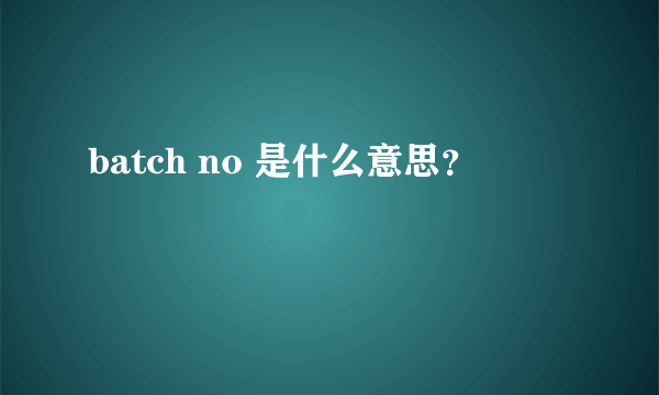 batch no 是什么意思？