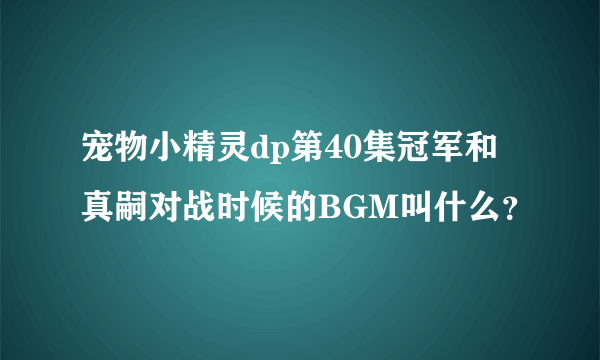 宠物小精灵dp第40集冠军和真嗣对战时候的BGM叫什么？