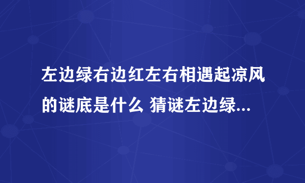 左边绿右边红左右相遇起凉风的谜底是什么 猜谜左边绿右边红左右相遇起凉风是什么