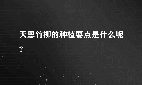 天恩竹柳的种植要点是什么呢？