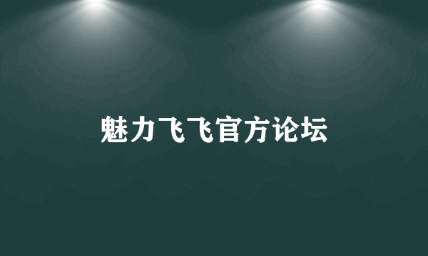 魅力飞飞官方论坛