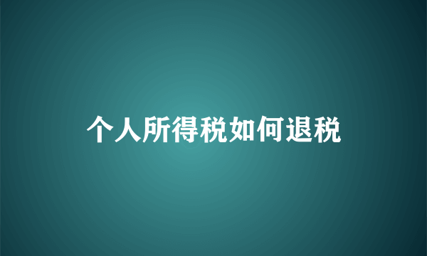 个人所得税如何退税