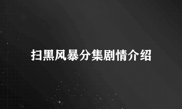 扫黑风暴分集剧情介绍