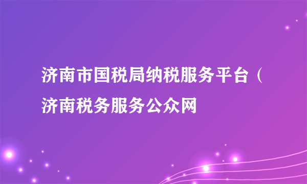 济南市国税局纳税服务平台（济南税务服务公众网