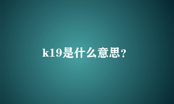 k19是什么意思？