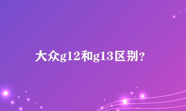 大众g12和g13区别？