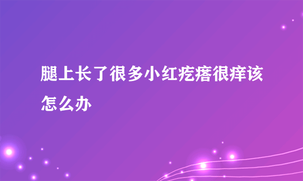 腿上长了很多小红疙瘩很痒该怎么办