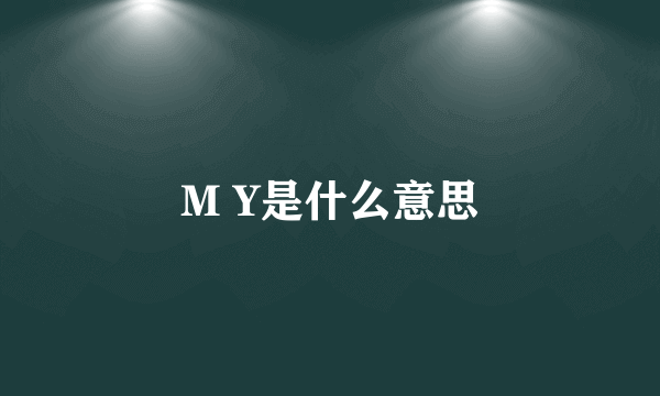 M Y是什么意思