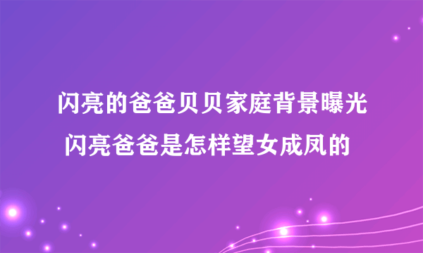 闪亮的爸爸贝贝家庭背景曝光 闪亮爸爸是怎样望女成凤的