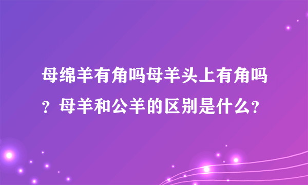 母绵羊有角吗母羊头上有角吗？母羊和公羊的区别是什么？