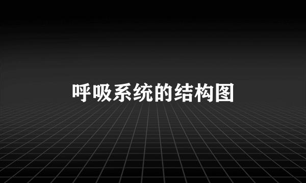 呼吸系统的结构图