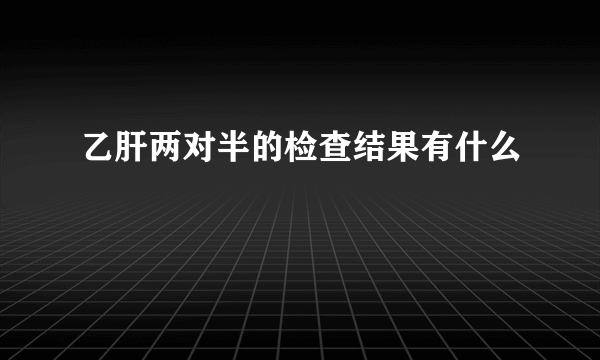 乙肝两对半的检查结果有什么