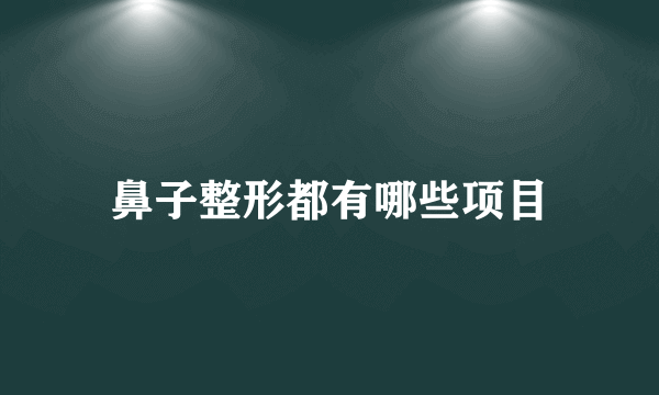 鼻子整形都有哪些项目