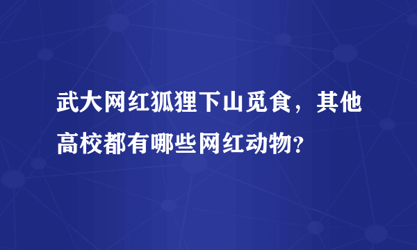 武大网红狐狸下山觅食，其他高校都有哪些网红动物？