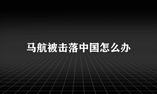 马航被击落中国怎么办