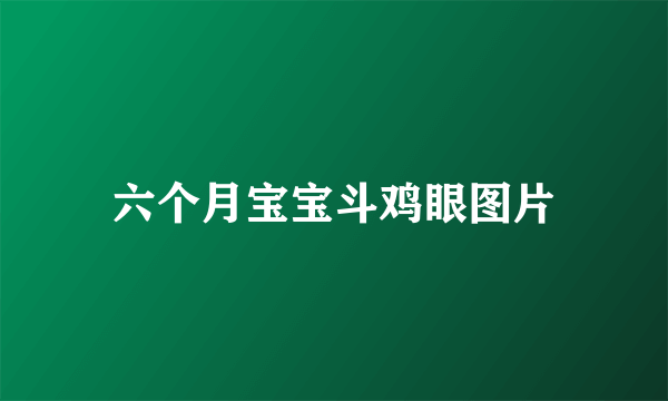 六个月宝宝斗鸡眼图片