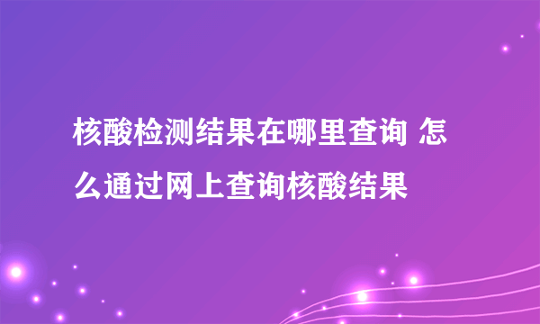 核酸检测结果在哪里查询 怎么通过网上查询核酸结果