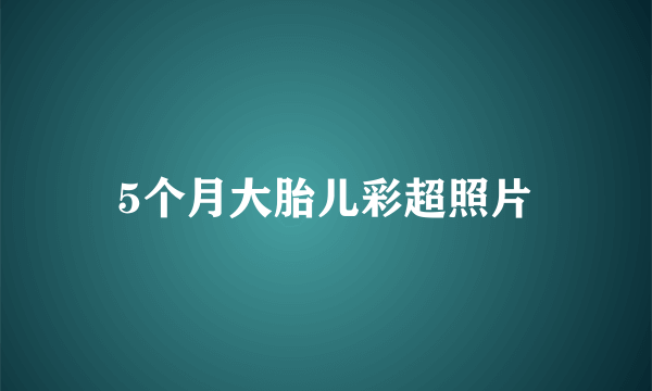 5个月大胎儿彩超照片