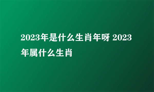 2023年是什么生肖年呀 2023年属什么生肖