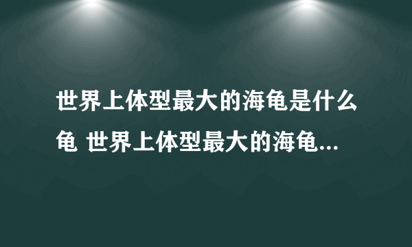 世界上体型最大的海龟是什么龟 世界上体型最大的海龟是什么品种