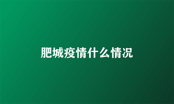 肥城疫情什么情况