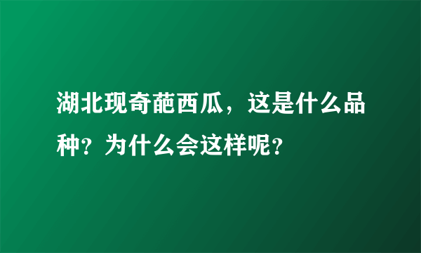 湖北现奇葩西瓜，这是什么品种？为什么会这样呢？