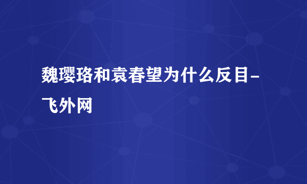 魏璎珞和袁春望为什么反目- 飞外网