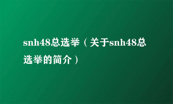 snh48总选举（关于snh48总选举的简介）