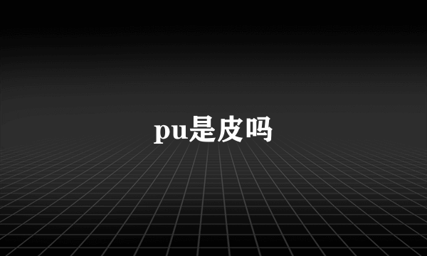 pu是皮吗