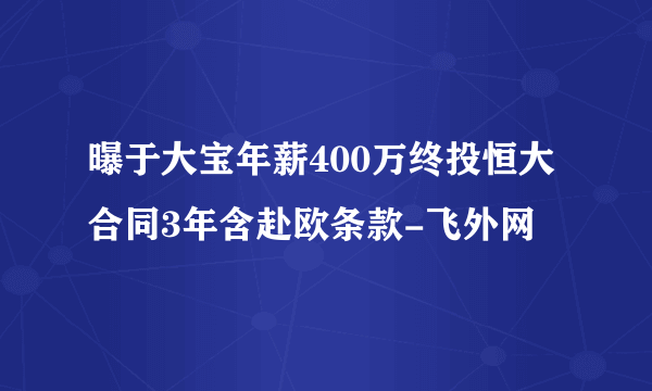 曝于大宝年薪400万终投恒大 合同3年含赴欧条款-飞外网