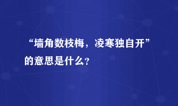 “墙角数枝梅，凌寒独自开”的意思是什么？