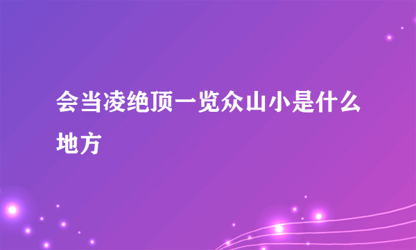 会当凌绝顶一览众山小是什么地方