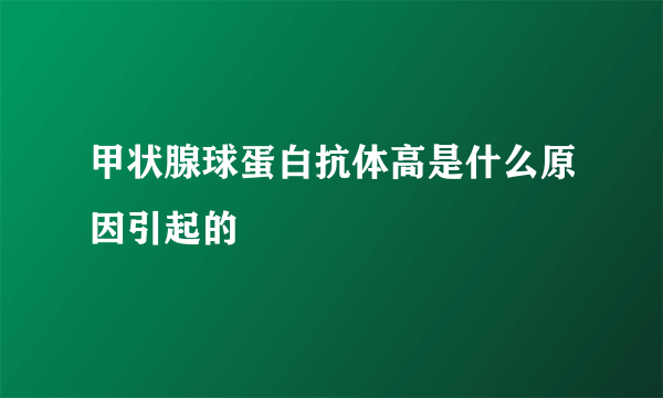 甲状腺球蛋白抗体高是什么原因引起的