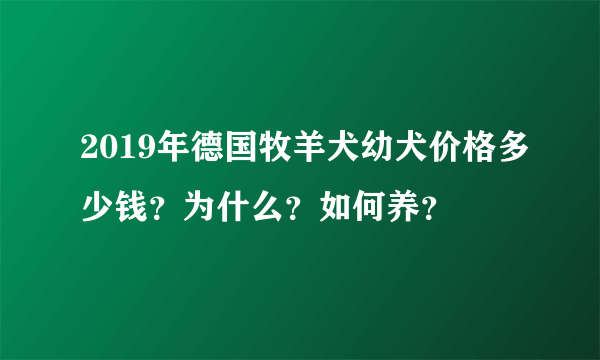 2019年德国牧羊犬幼犬价格多少钱？为什么？如何养？