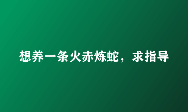 想养一条火赤炼蛇，求指导