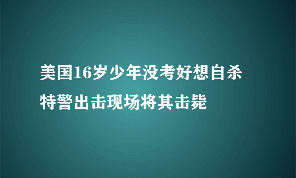 美国16岁少年没考好想自杀 特警出击现场将其击毙