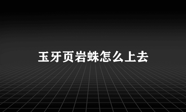 玉牙页岩蛛怎么上去