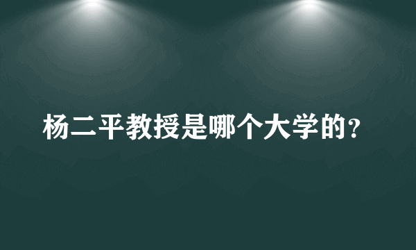 杨二平教授是哪个大学的？