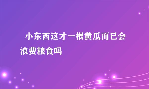   小东西这才一根黄瓜而已会浪费粮食吗