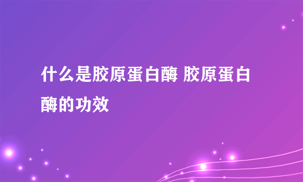 什么是胶原蛋白酶 胶原蛋白酶的功效