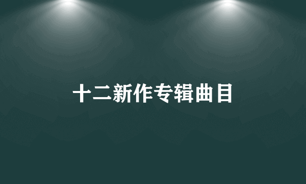 十二新作专辑曲目